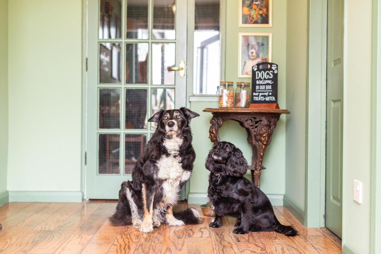 The Fromeway Bed and Breakfast Radstock Exteriör bild